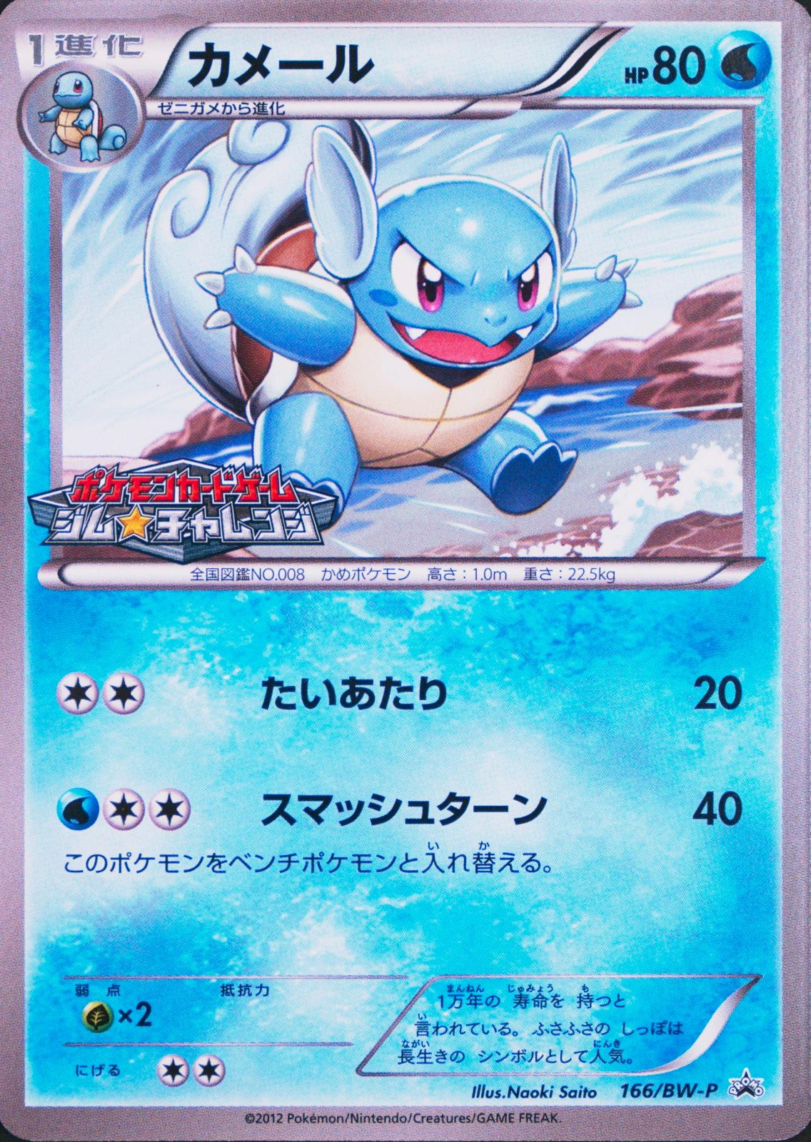Wartortle